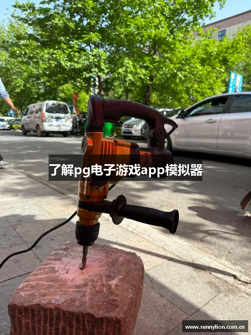 了解pg电子游戏app模拟器